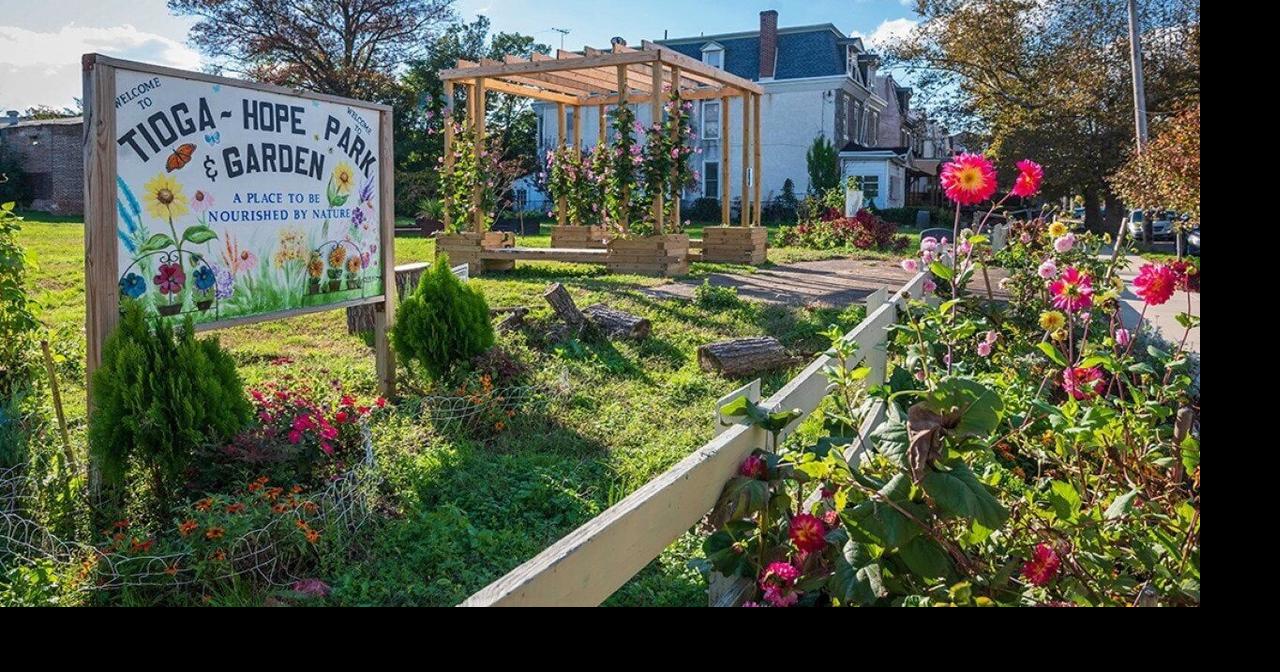 Near this city's new green spaces, a dramatic reduction in crime