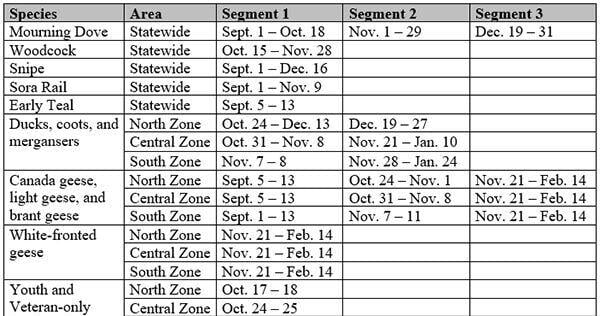 Migratory bird hunting seasons announced by DNR