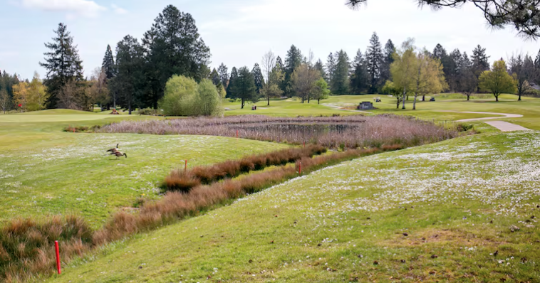 Selling RedTail, which is in Beaverton, could jeopardize Portland’s public golf courses, committee says