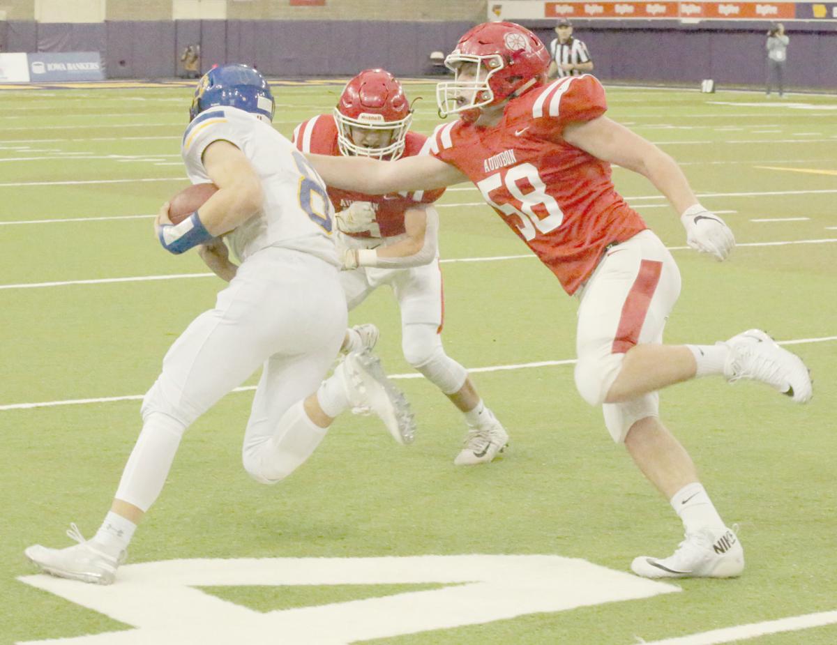 112219-nt-audubonfb27.jpg