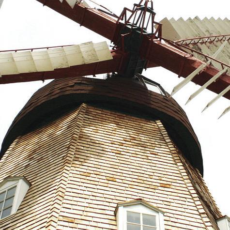 Windmill fund-raiser postponed - Vimarsana News