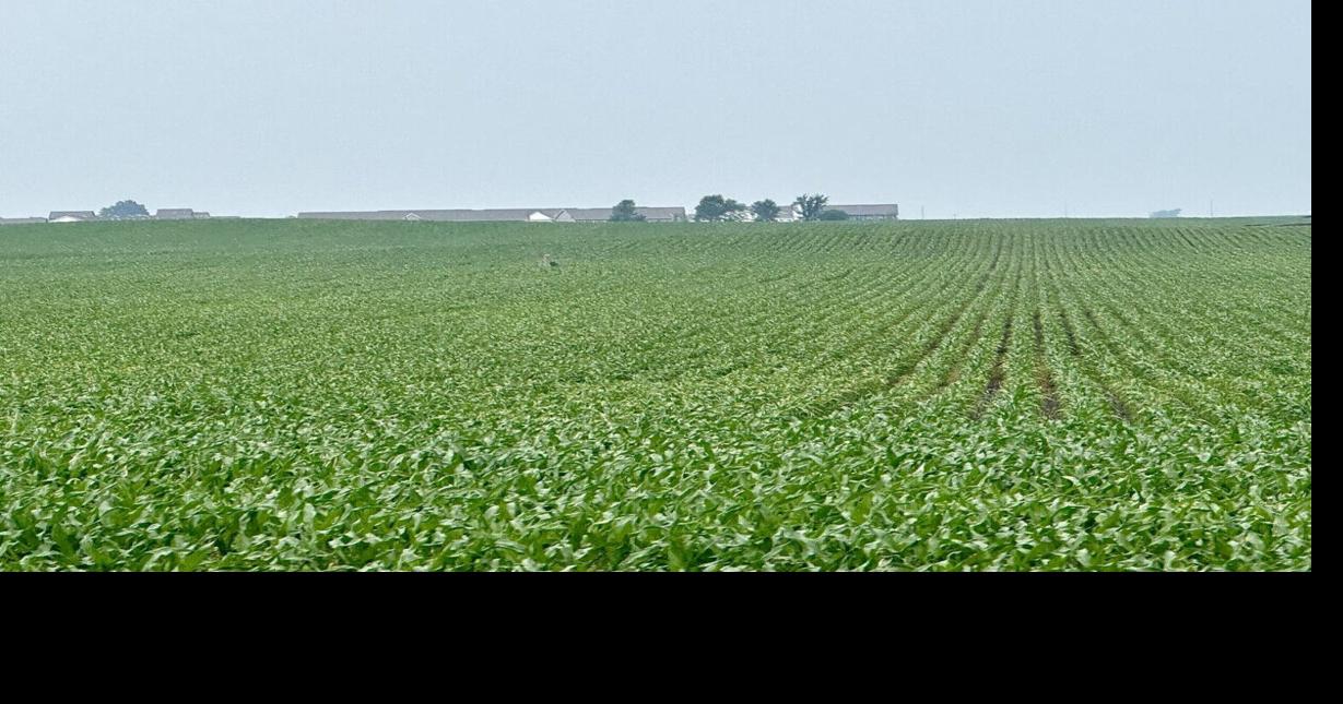 Farmers ready for warmer weather to help crops as dry conditions move in (aj)