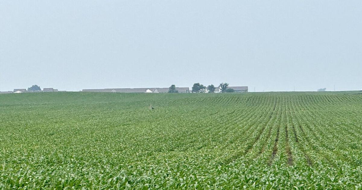 Farmers ready for warmer weather to help crops as dry conditions move in (aj)