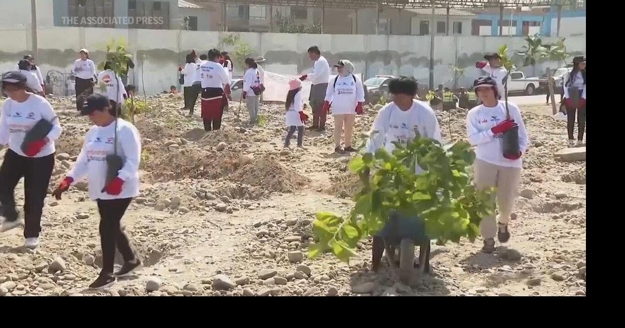 More than 500 trees planted in Lima as part of events ahead of Earth ...