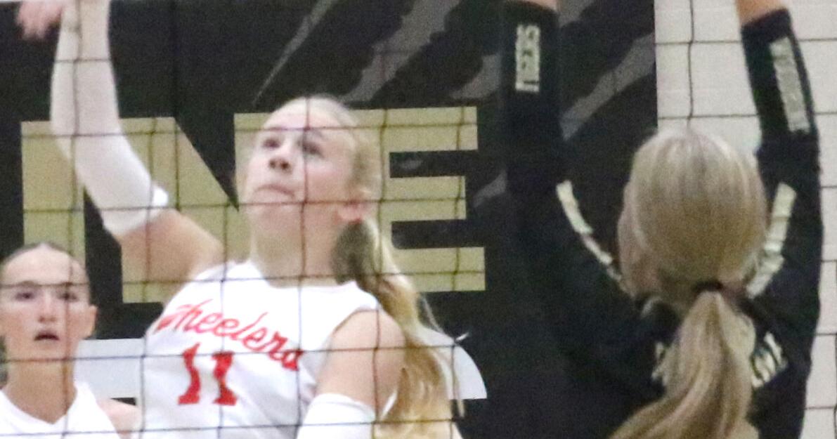 PREP VOLLEYBALL: Three – one each from CAM, EEHK, Audubon – named all-RVC