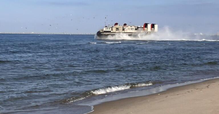 Beyond Audubon - A casual stroll turned mild panic in Virginia