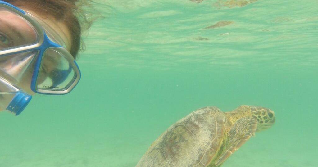 Beyond Audubon - 36 Hours in Miyako, Japan