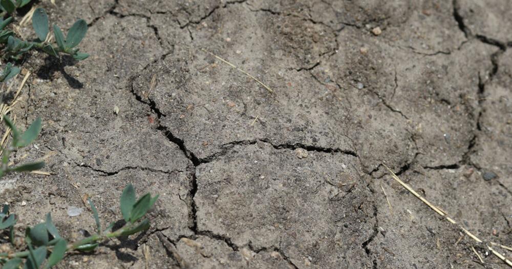 Drought projections shift again, with relief for western Iowa - Vimarsana News