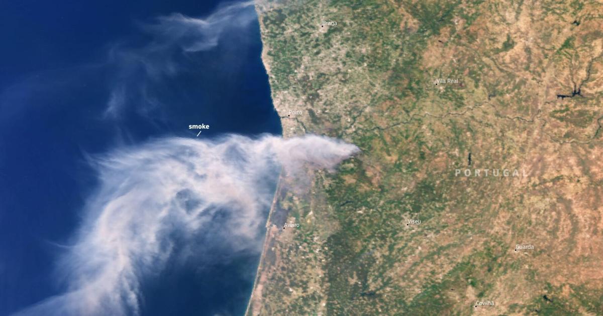 Sattellite reveals what wildfires in Portugal look like from space