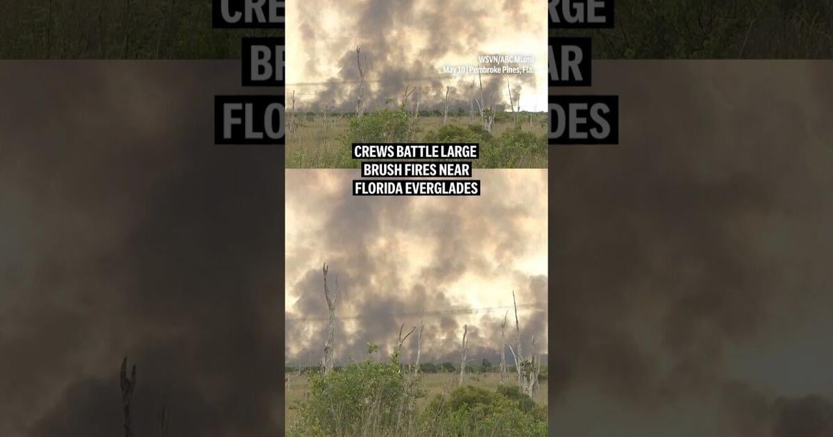 Crews battle large brush fires near Florida Everglades ...