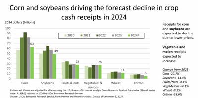 Latest 2024 farm income forecast shows overall decrease from 2023 (copy