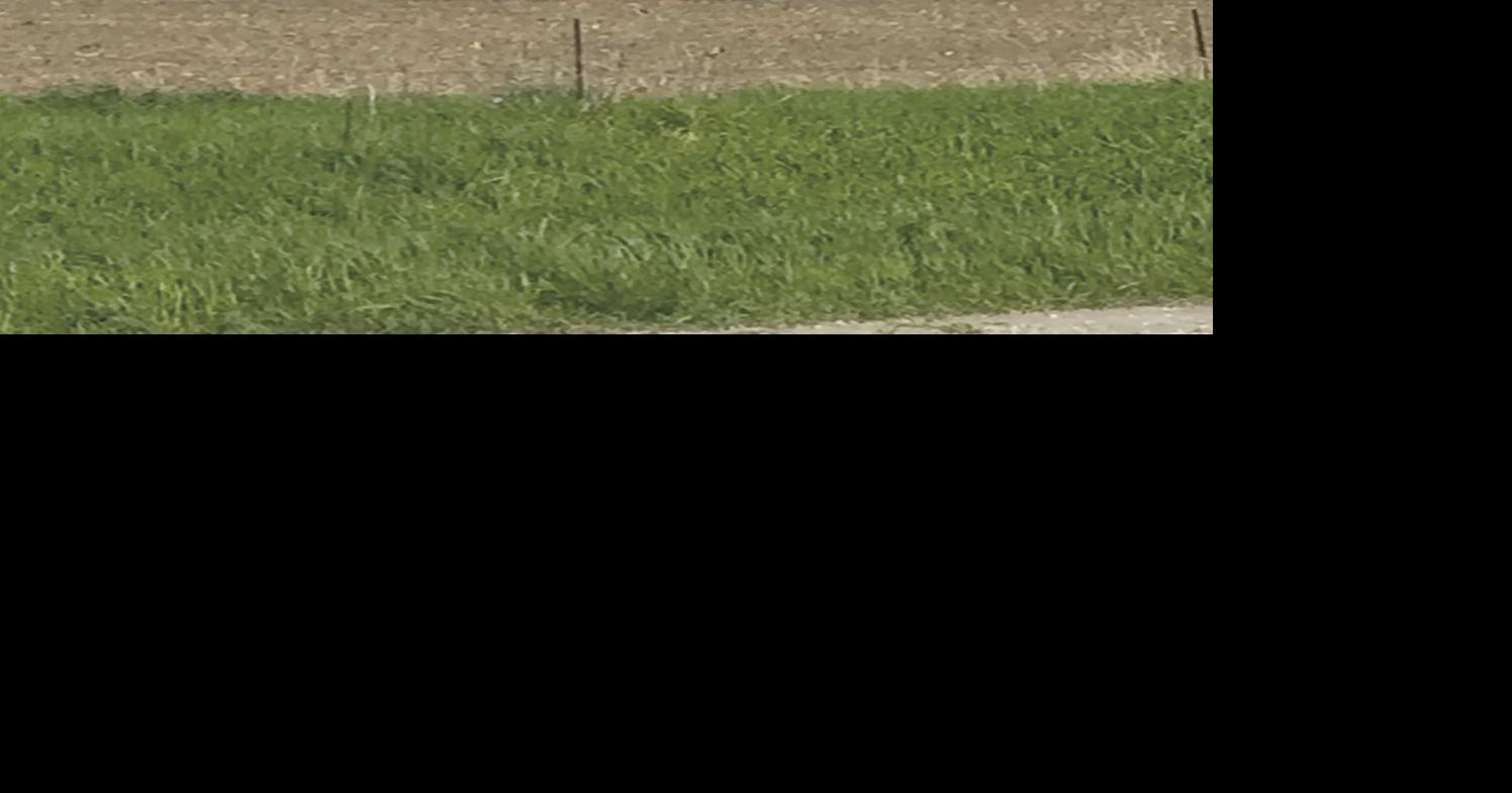 Pilot uninjured in small plane crash in Harlan News