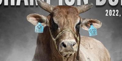 Mccoy Rodeo McCoy Rodeo brings Pro Rodeo back to Atlantic | Atlantic ...