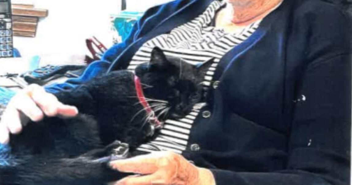 Magill raises children, travels the world, works with bloodmobile