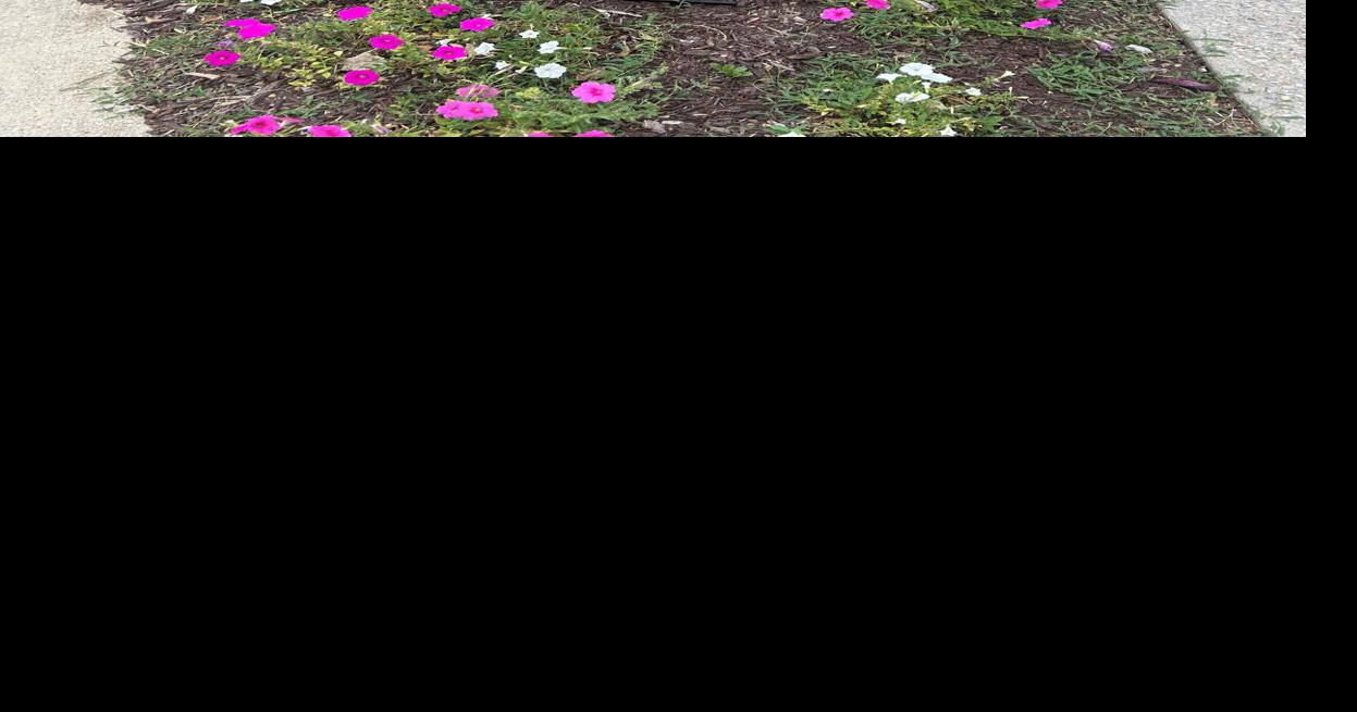 Cass County Master Gardeners to host Spring Plant Sale, Bus Trip in May