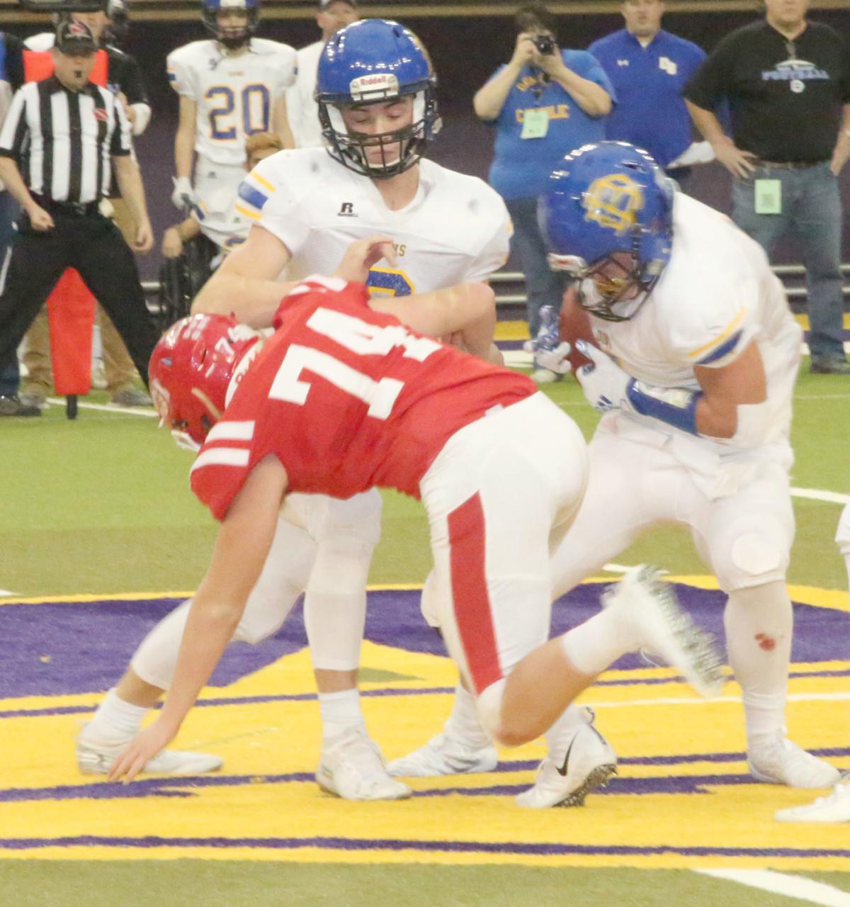 112219-nt-audubonfb21.jpg