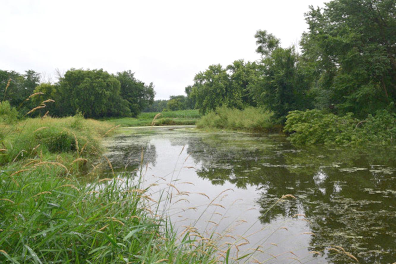OUTDOOR NEWS: Varied habitats diverse wildlife abound at Red Fox