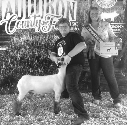 Audubon County Fair Sheep Show Lifestyle