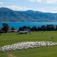 Court case challenges New Zealand's 'magical thinking' climate plans Ben STRANG AFP May 5, 2026 1 hr ago