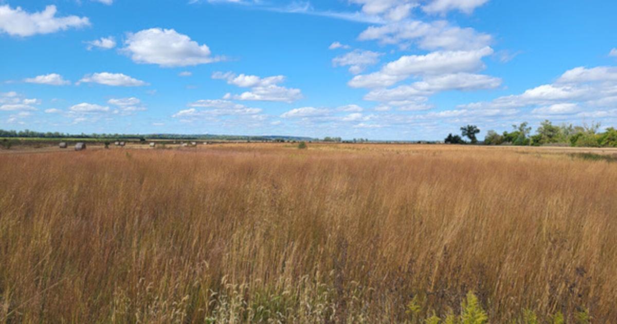 OUTDOOR NEWS: St. Mary’s Island becoming a destination for dove, pheasant hunters