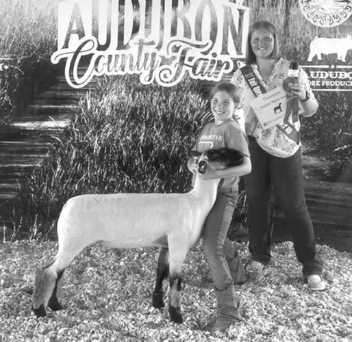 Audubon County Fair Sheep Show Lifestyle