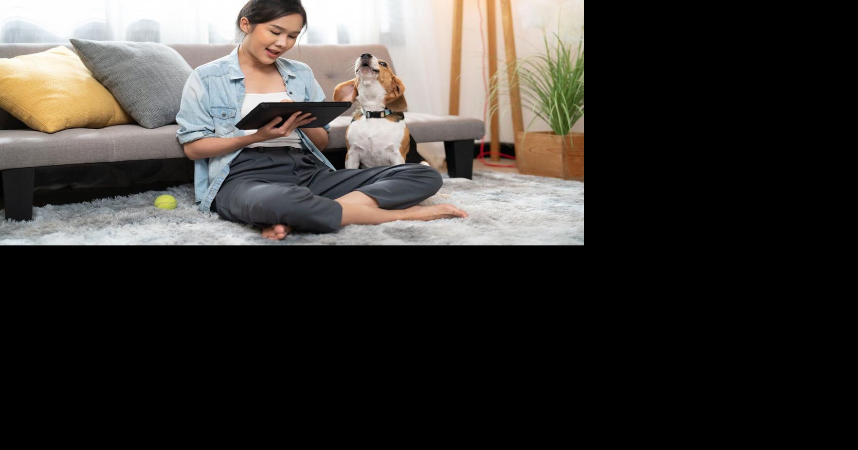 How to Make ‘Financial Wellness' Work for You Kimberly Palmer May 28, 2026 2 hrs ago