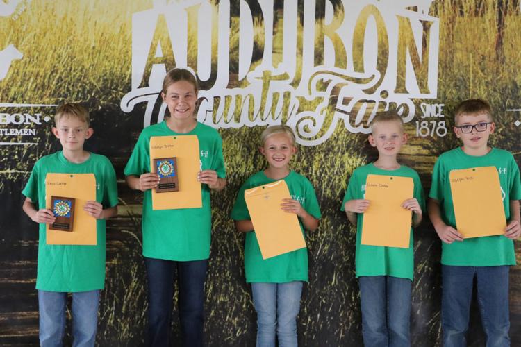 Audubon County Fair Communications Lifestyle