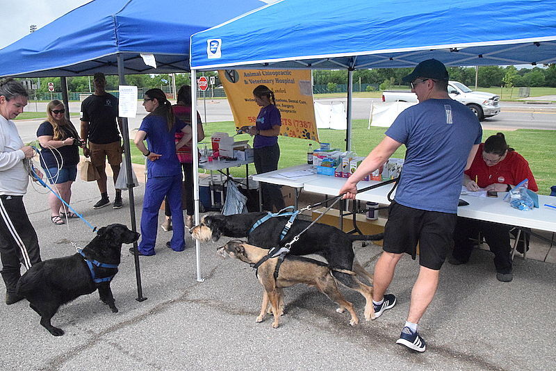 Dog days at Farmers Market