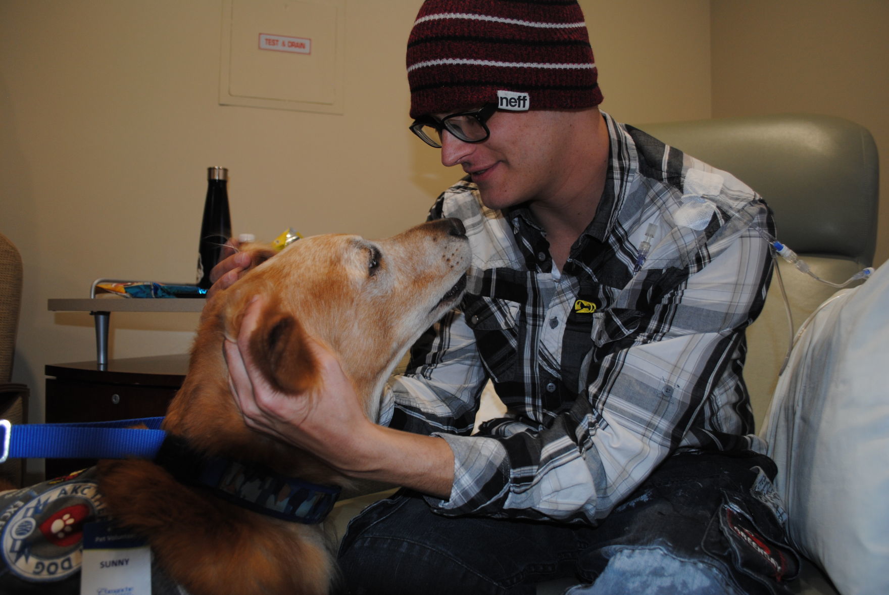 paws of love therapy dogs