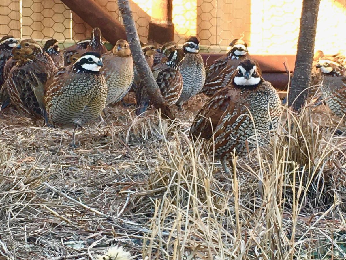 Aquarium hosts grand opening for newest exhibit Saturday News