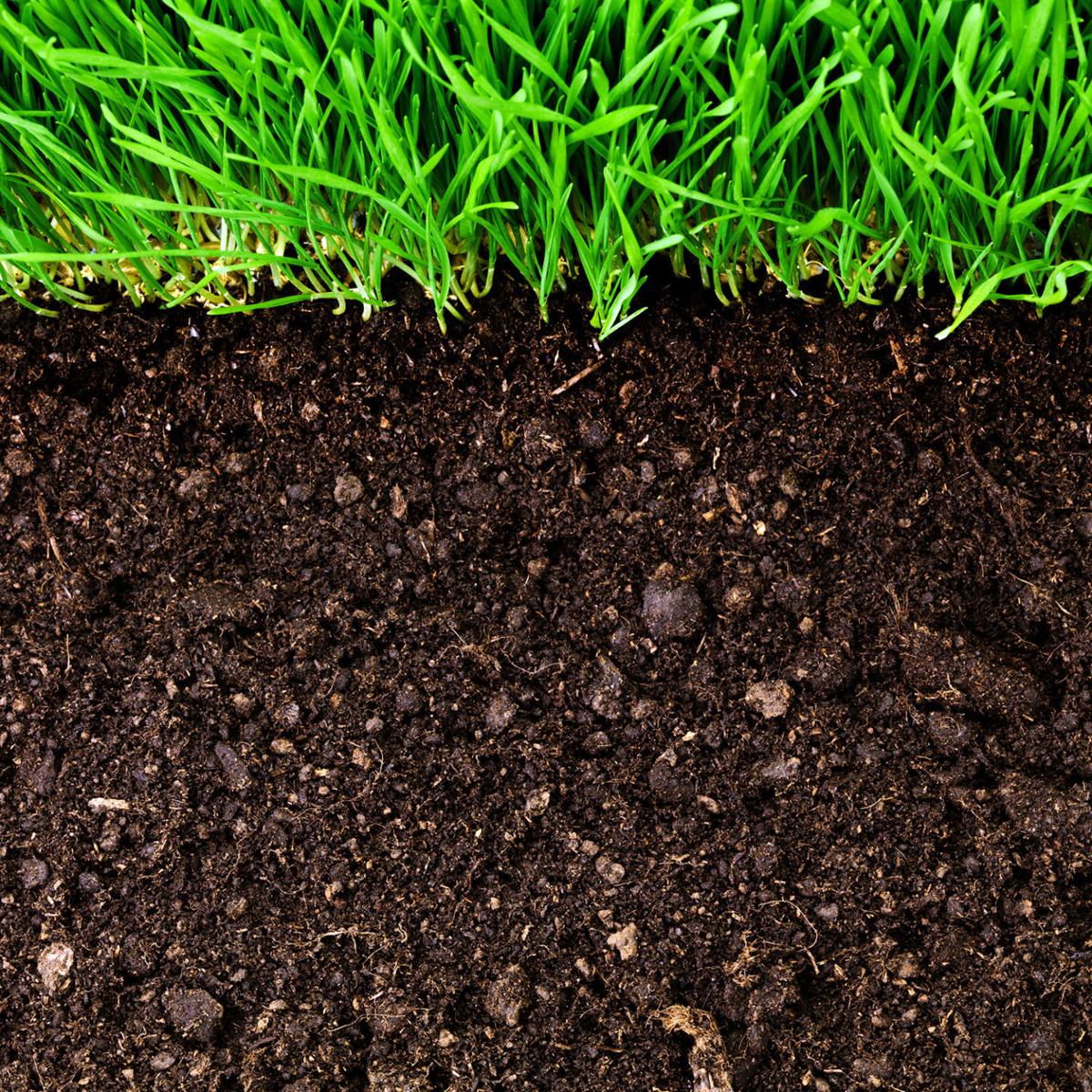 Improving Soil Fertility For Well Cultivated Flowerbeds Garden Swoknews Com Soil is a mixture of organic matter, minerals, gases, liquids, and organisms that together support life. improving soil fertility for well