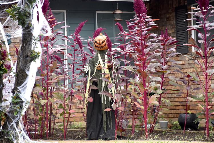 Halloween around Lawton Community News
