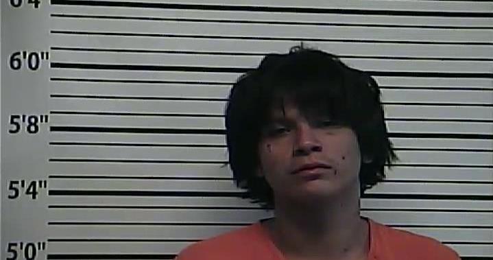 Anadarko men accused of violent home invasion - Vimarsana News