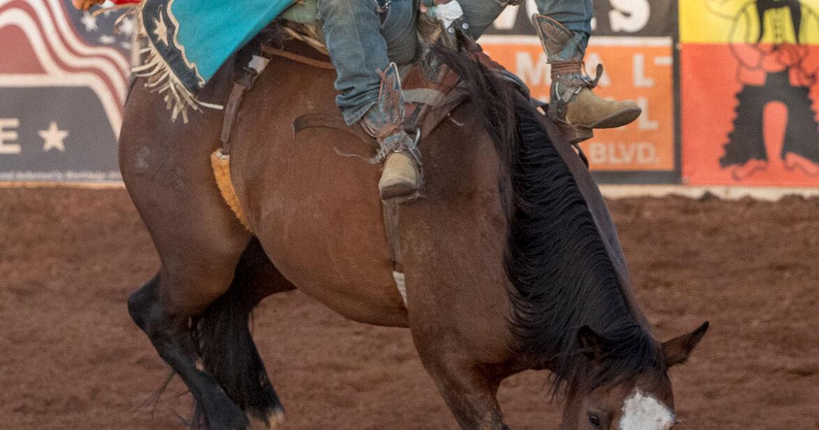 Halliday takes saddle bronc lead in Rangers Rodeo