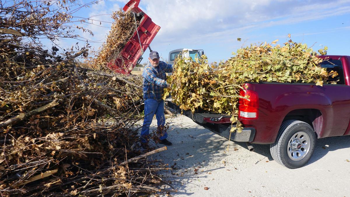 City, residents work to clean up ice storm damage