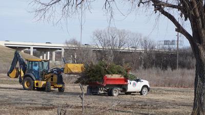 City Sets Christmas Tree Disposal System News Swoknews Com