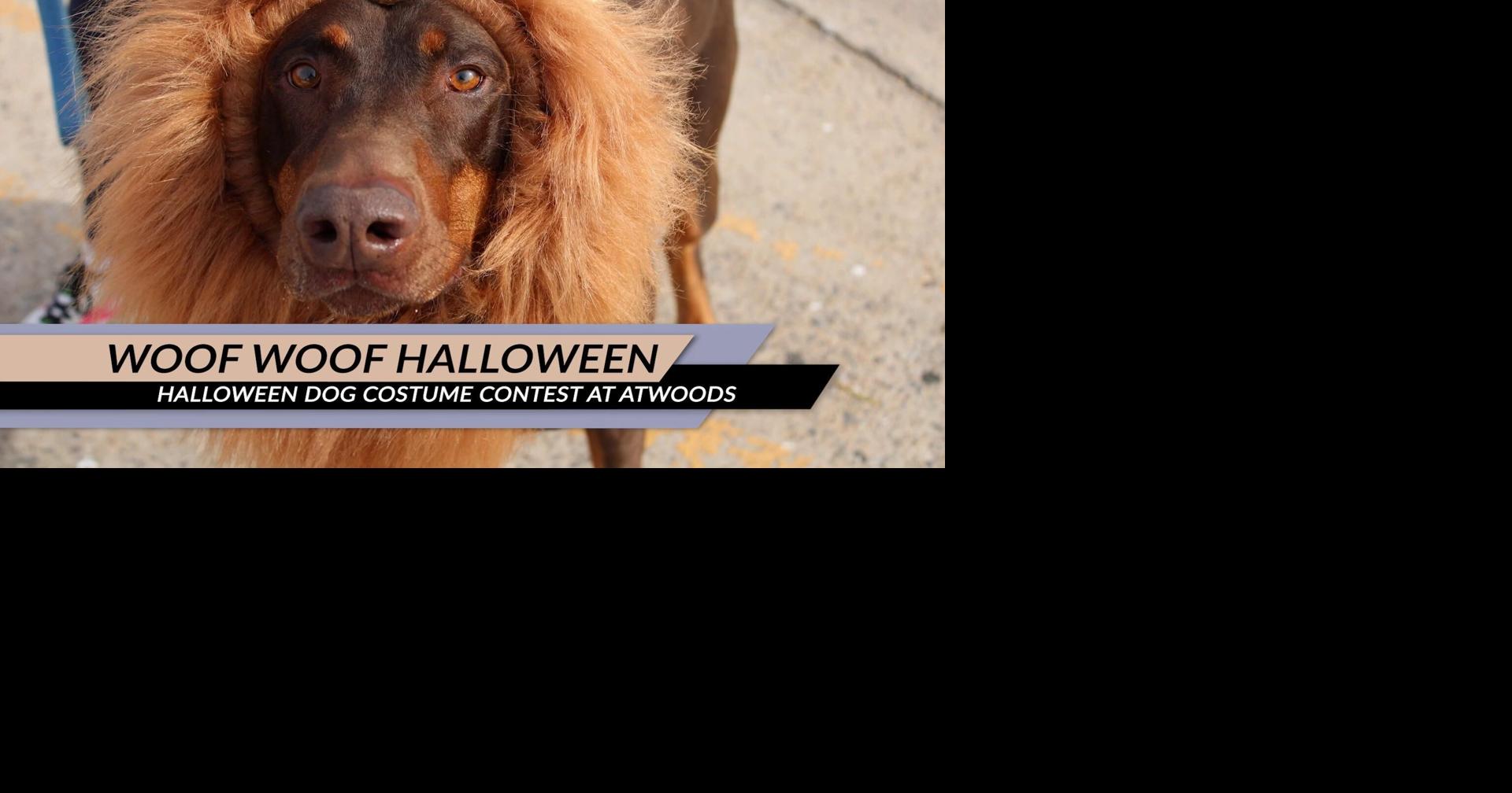Halloween dog costume contest Community News
