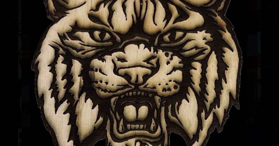 Fletcher HS state Promise 2025 champion