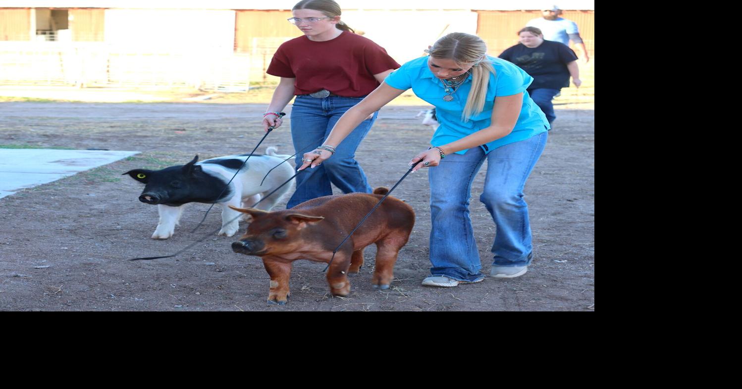 LPS pig parade a taste of 'Porklandia' | News | swoknews.com