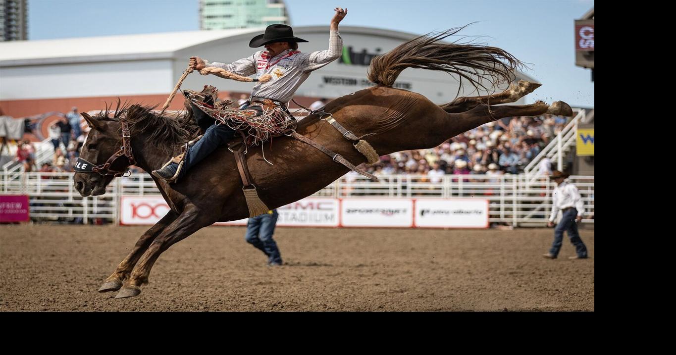 Rangers Rodeo sees big boost in entries