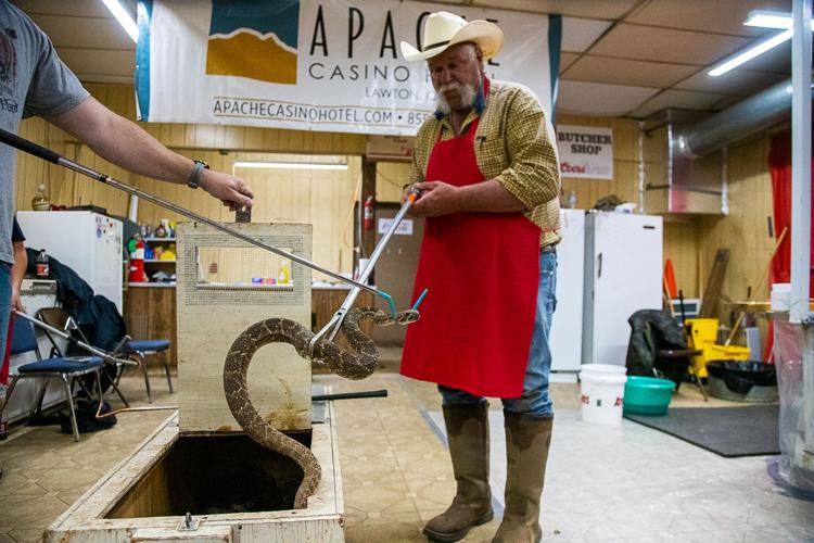 Final day of Apache Rattlesnake Festival News