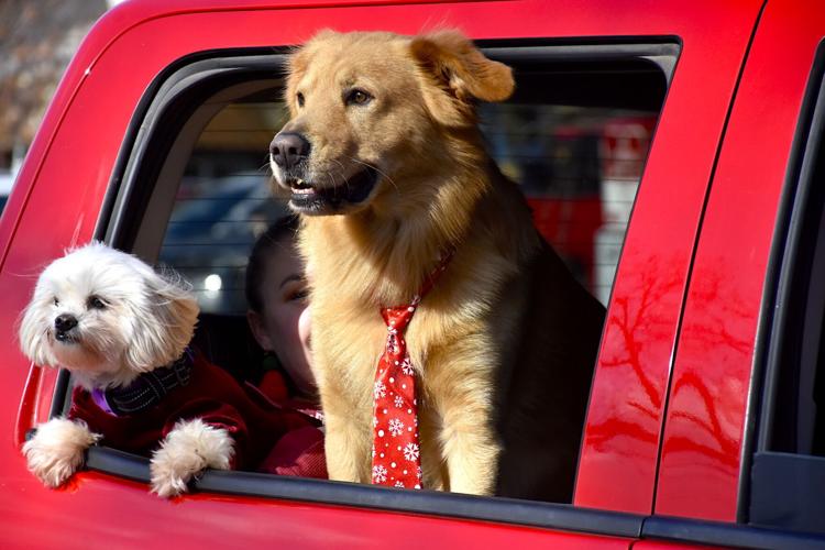 Medicine Park Christmas Parade Community News