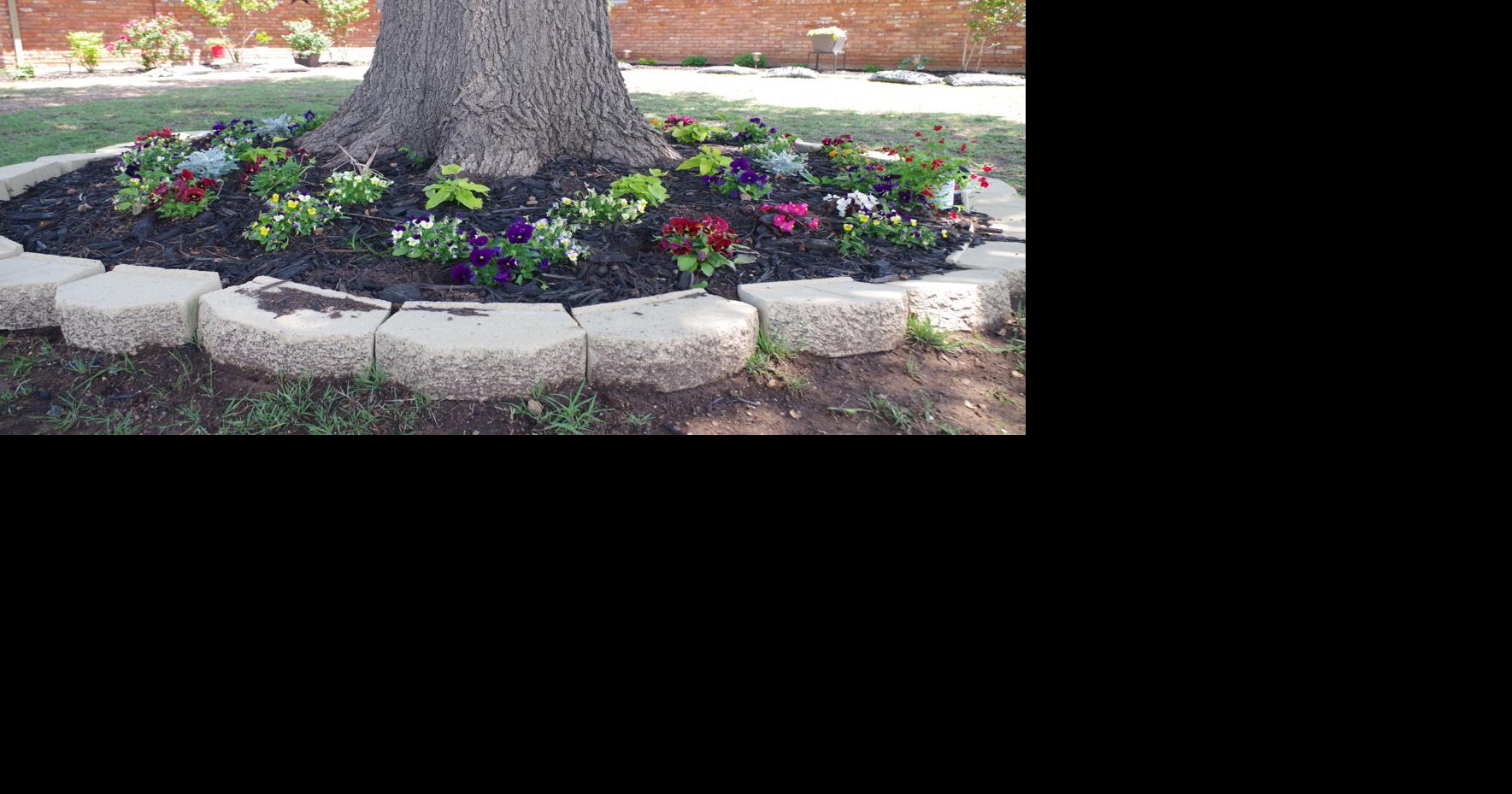 COLUMN: Color is the artwork in your landscape | Garden | swoknews.com