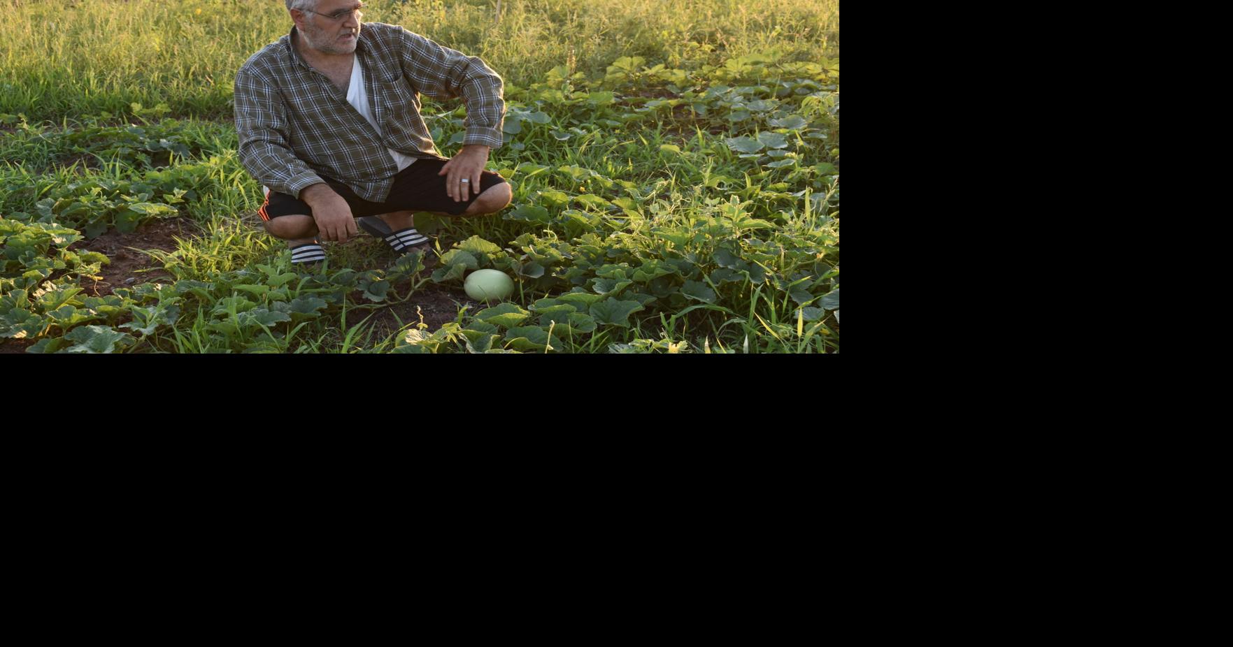 A garden within a city: The community garden on Cameron University ...
