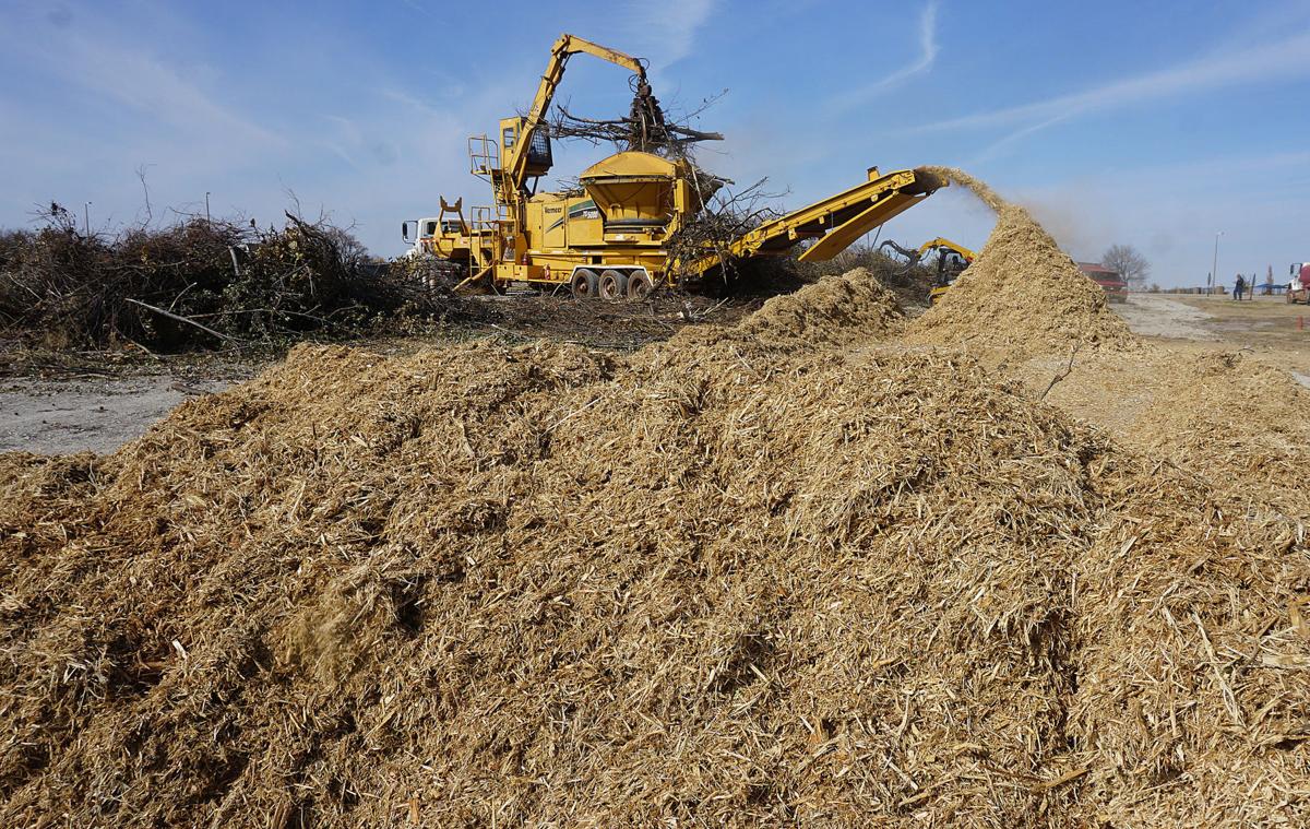 Island of mulch