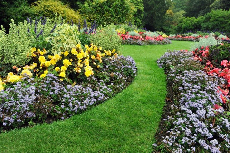 Four season landscape ideas for your yard | Garden | swoknews.com