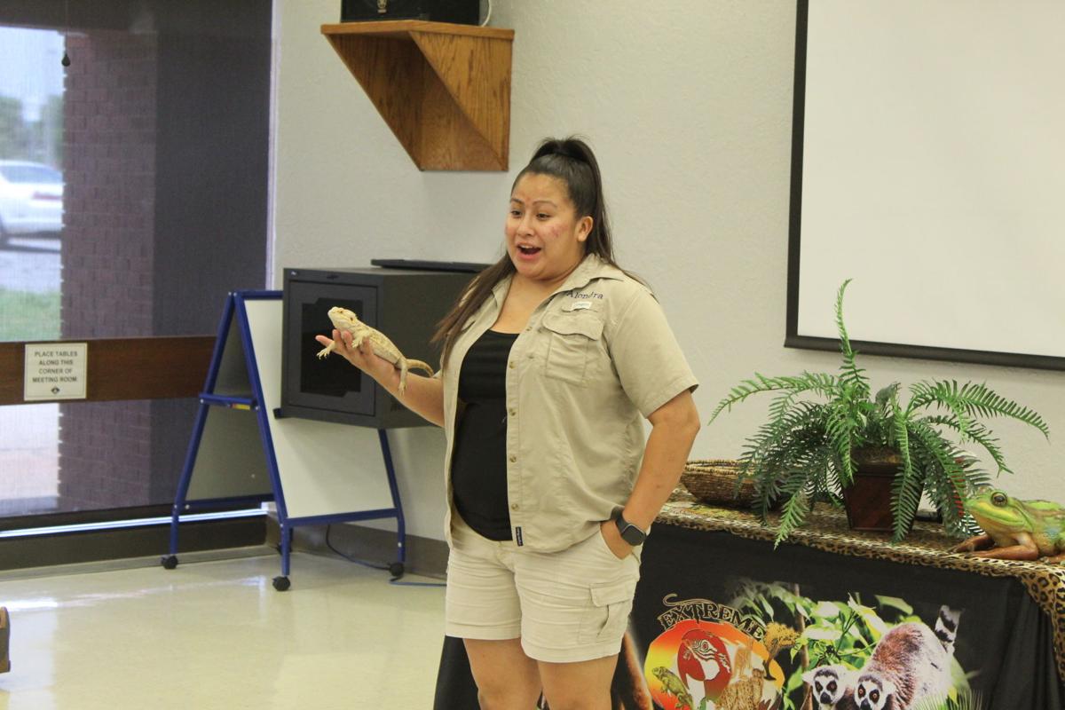 Extreme Animals visit the library