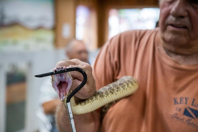 Apache Rattlesnake Festival begins Thursday News
