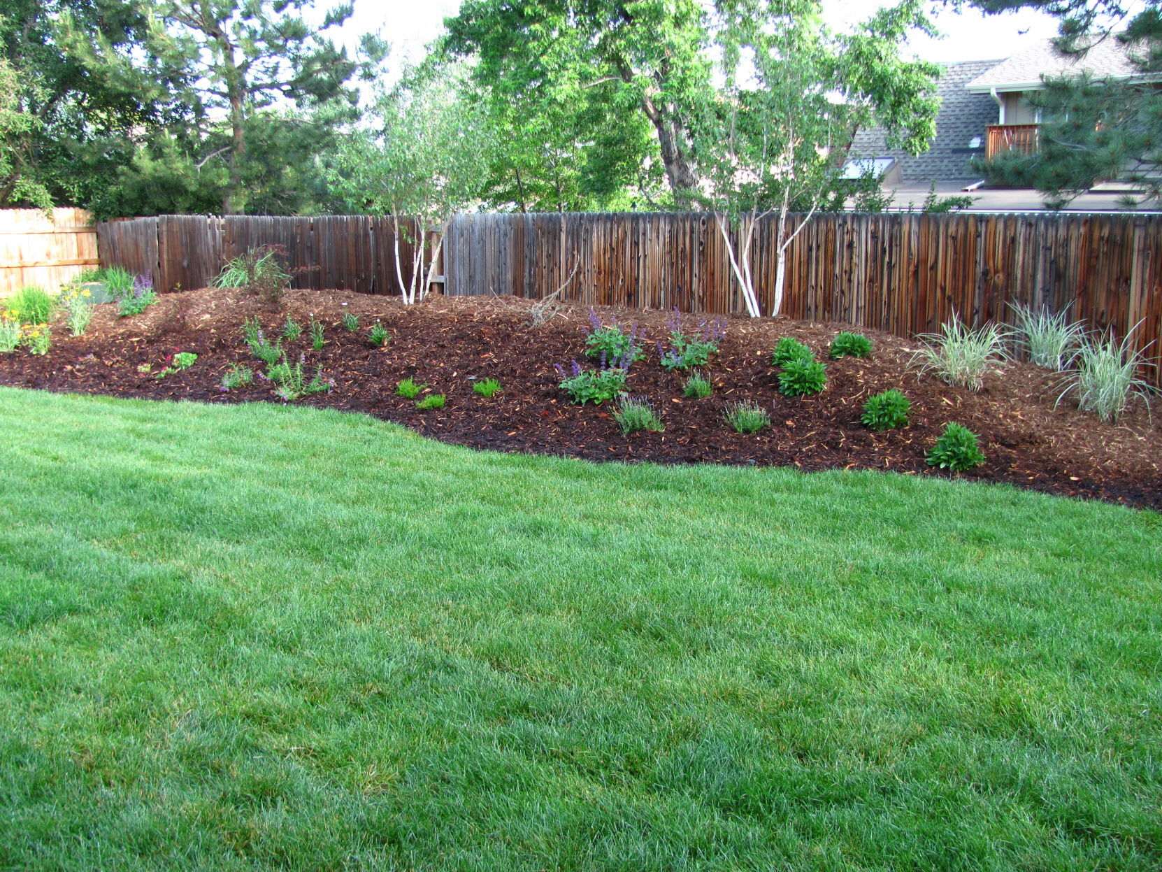 Berms In Your Landscape Garden Swoknews Com   63d1f4721b6d1.image 