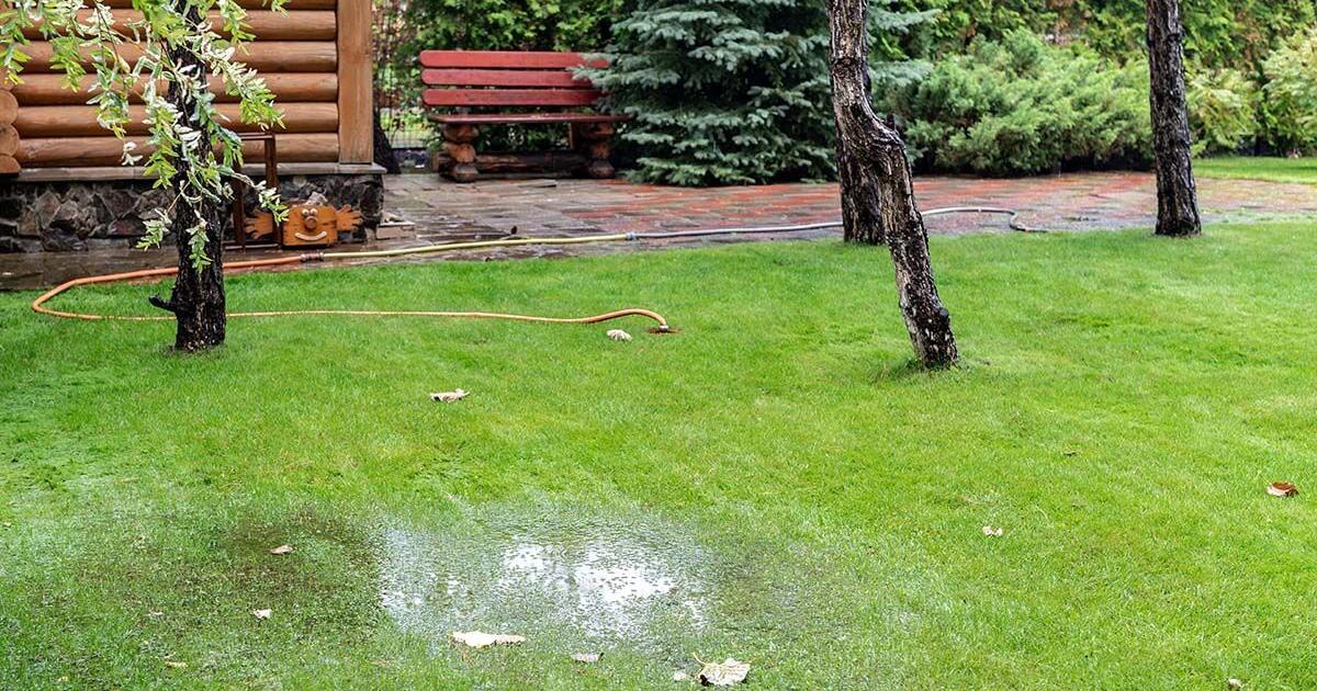 Mowing during wet weather - Vimarsana News